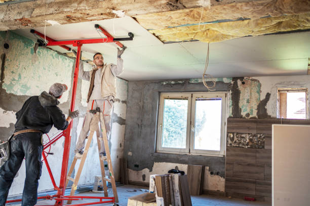 Best Residential Insulation in Rock Rapids, IA
