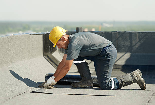 Best Spray Foam Insulation in Rock Rapids, IA