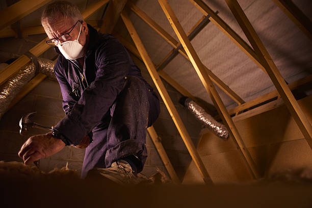 Best Specialized Insulation Services in Rock Rapids, IA