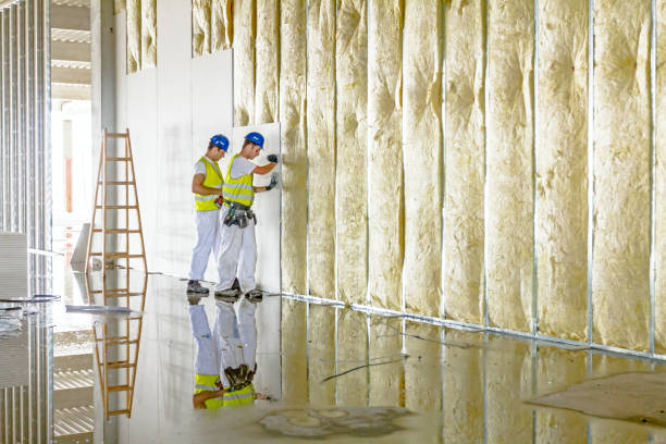 Professional Insulation Contractor in Rock Rapids, IA